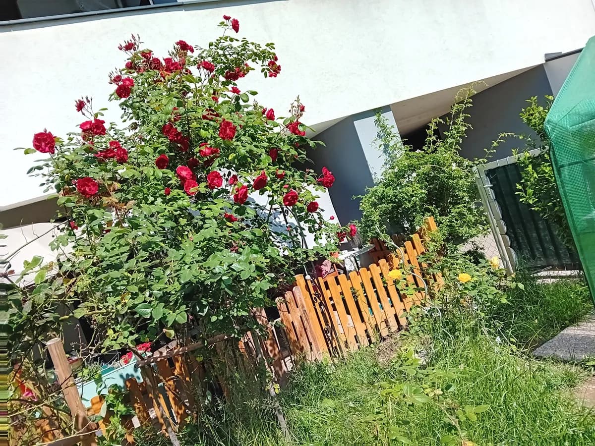 3-Zimmer-Wohnung mieten in Baden – 60 m², € 823 – Bild 14 von 15