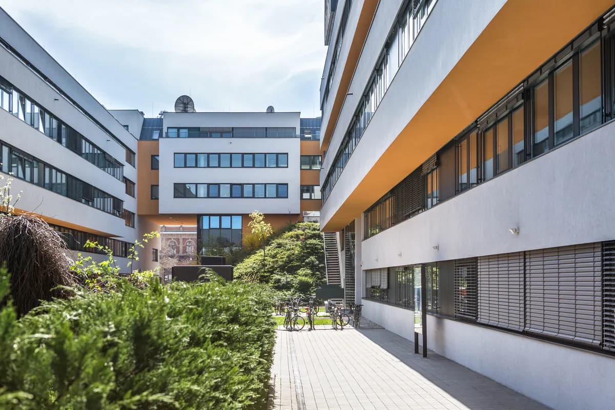 Gewerbeimmobilie mieten in Wien – 2 641 m², € 13 – Bild 3 von 6