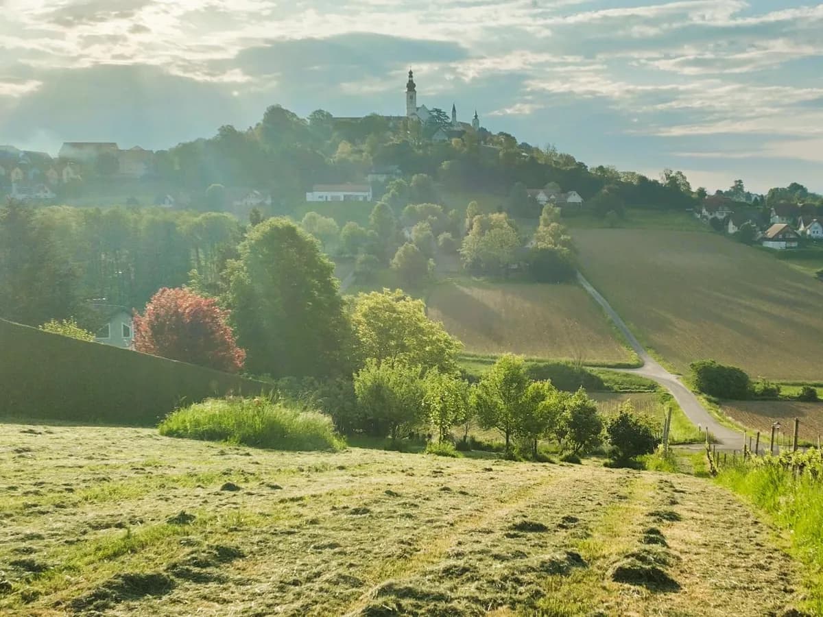 Grundstück kaufen in Südoststeiermark – 1 444 m², € 95.000