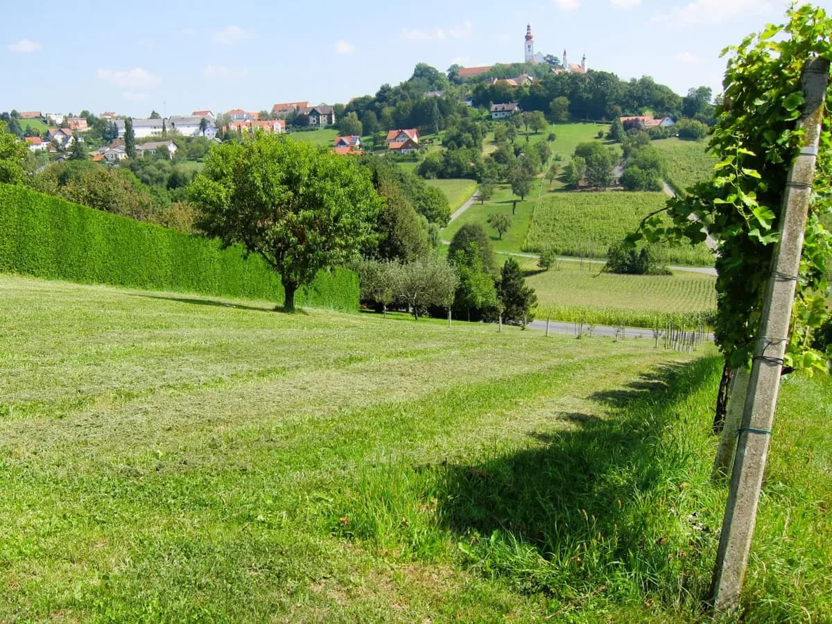 Grundstück kaufen in Südoststeiermark – 1 444 m², € 95.000 – Bild 2 von 16