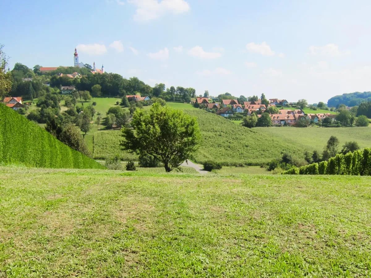 Grundstück kaufen in Südoststeiermark – 1 444 m², € 95.000 – Bild 4 von 16