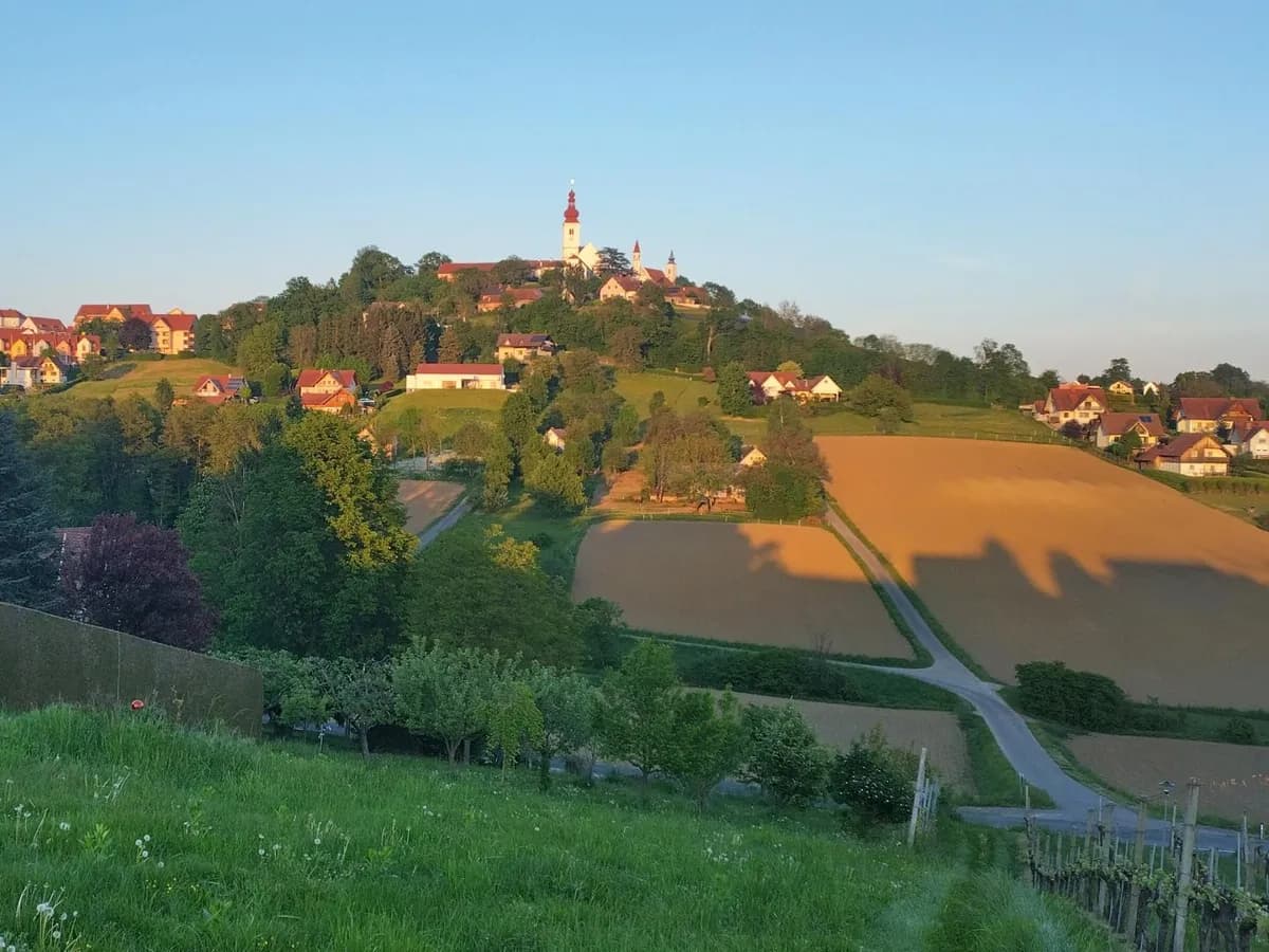 Grundstück kaufen in Südoststeiermark – 1 444 m², € 95.000 – Bild 5 von 16