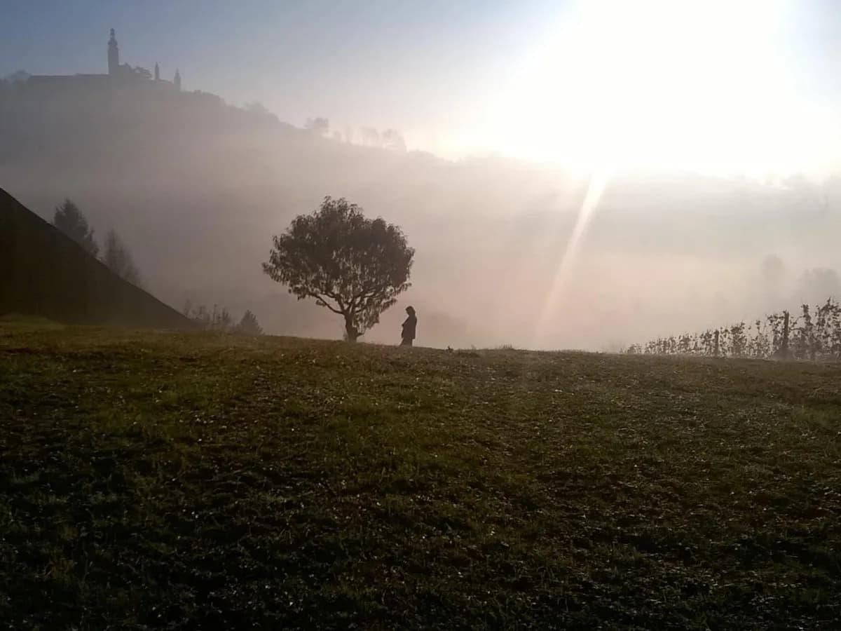Grundstück kaufen in Südoststeiermark – 1 444 m², € 95.000 – Bild 6 von 16