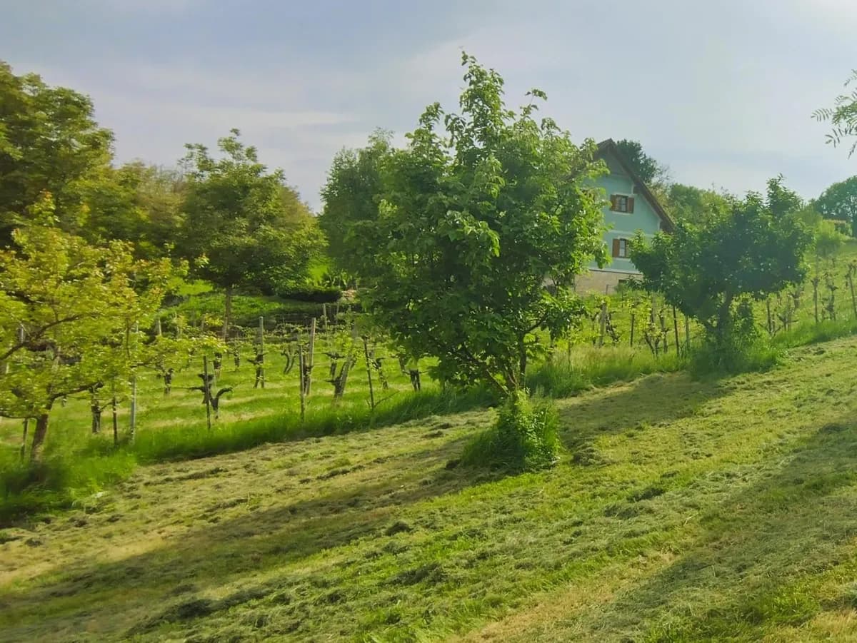 Grundstück kaufen in Südoststeiermark – 1 444 m², € 95.000 – Bild 11 von 16