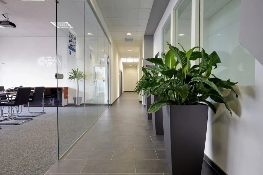 Gewerbeimmobilie mieten in Wien – 402 m² – Bild 4 von 5