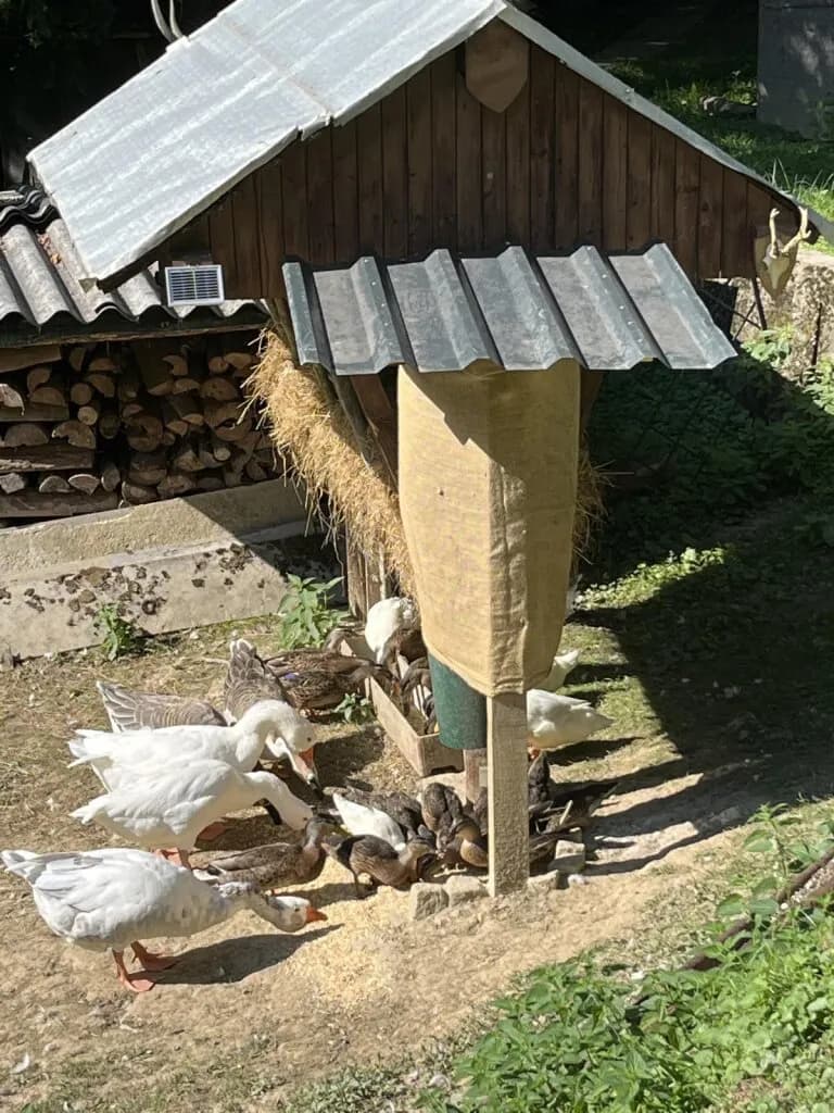 Immobilie kaufen in Graz-Umgebung – 60 m², € 230.000 – Bild 5 von 25