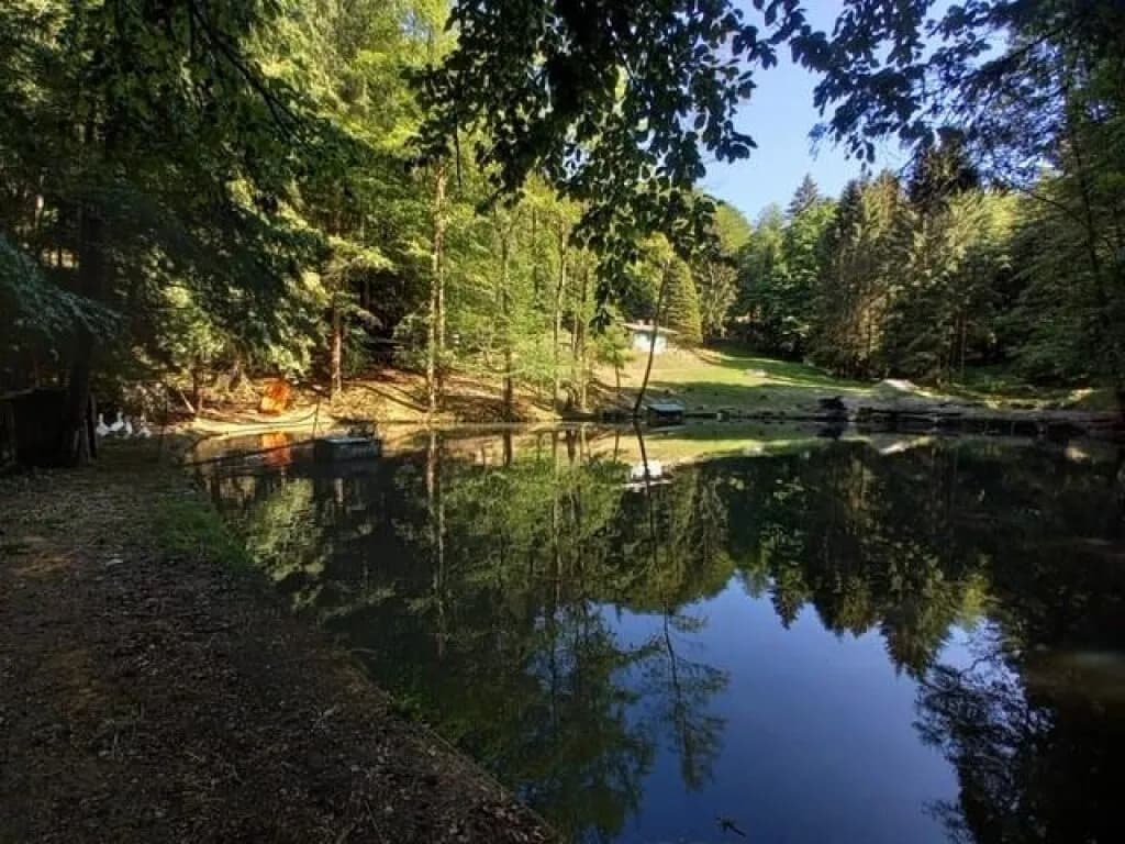Immobilie kaufen in Graz-Umgebung – 60 m², € 230.000 – Bild 15 von 25