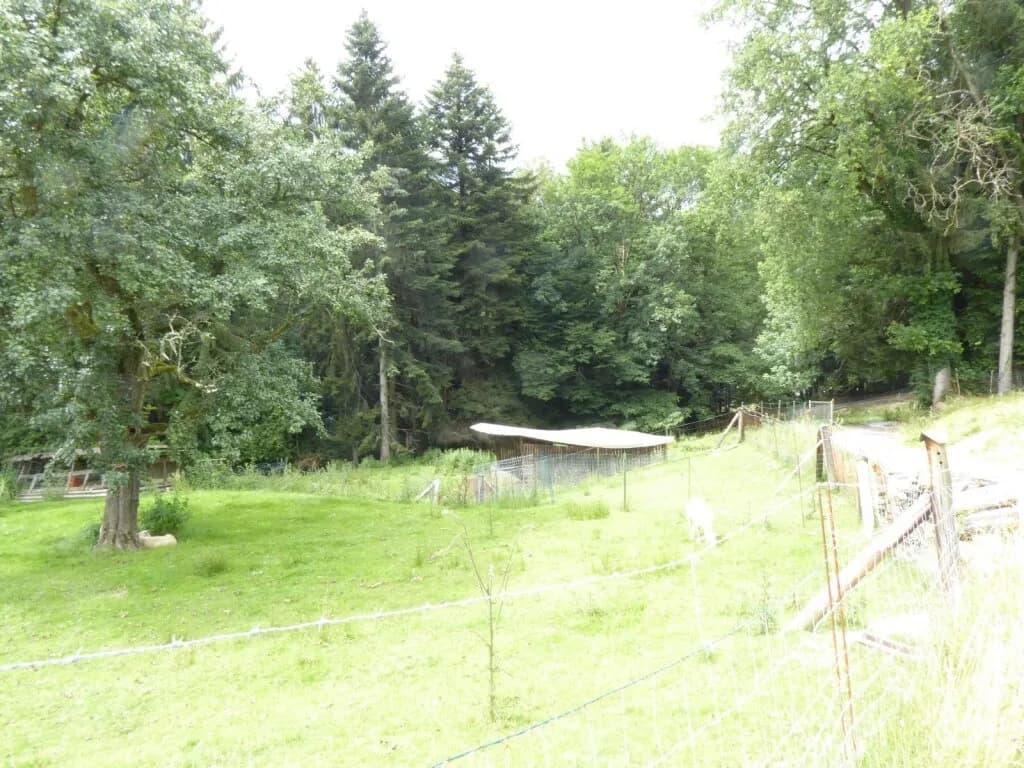 Immobilie kaufen in Graz-Umgebung – 60 m², € 230.000 – Bild 17 von 25
