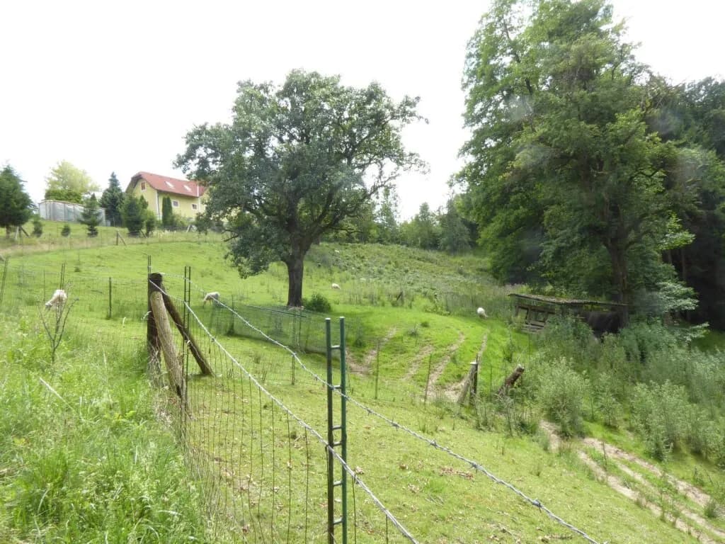 Immobilie kaufen in Graz-Umgebung – 60 m², € 230.000 – Bild 19 von 25