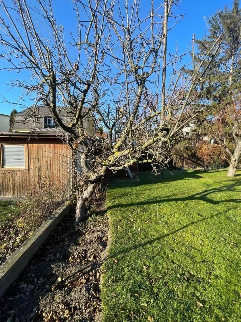 Haus kaufen in Wien – 676 m², € 549.000 – Bild 6 von 28