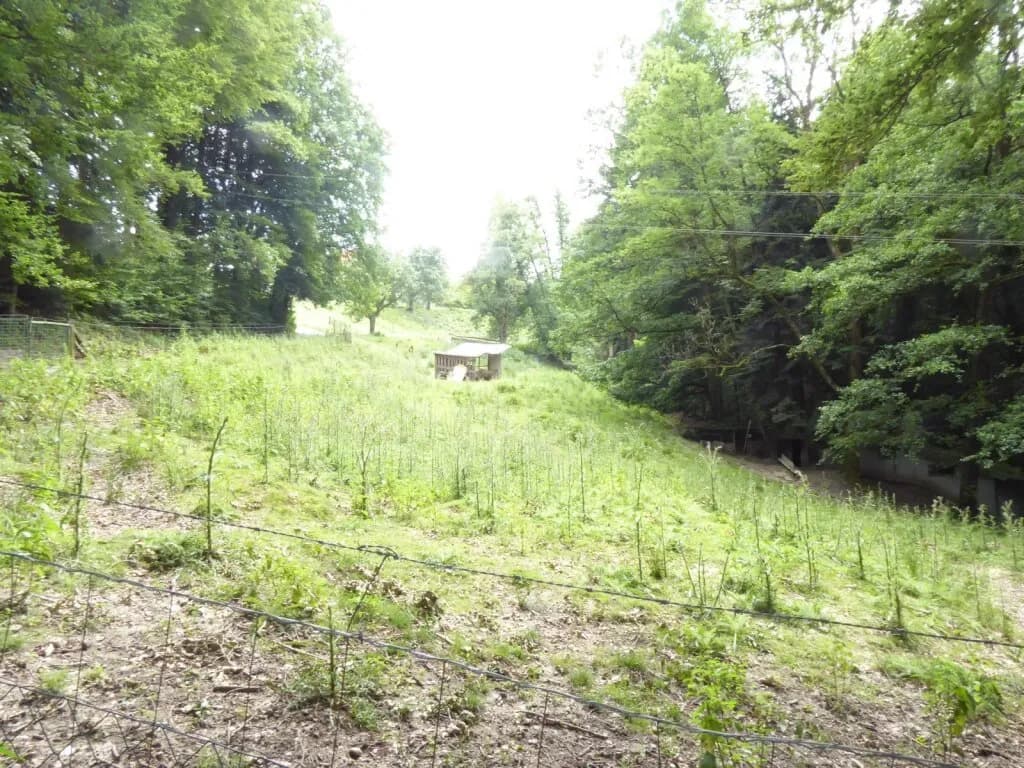 Grundstück kaufen in Graz-Umgebung – 60 m², € 230.000 – Bild 21 von 25