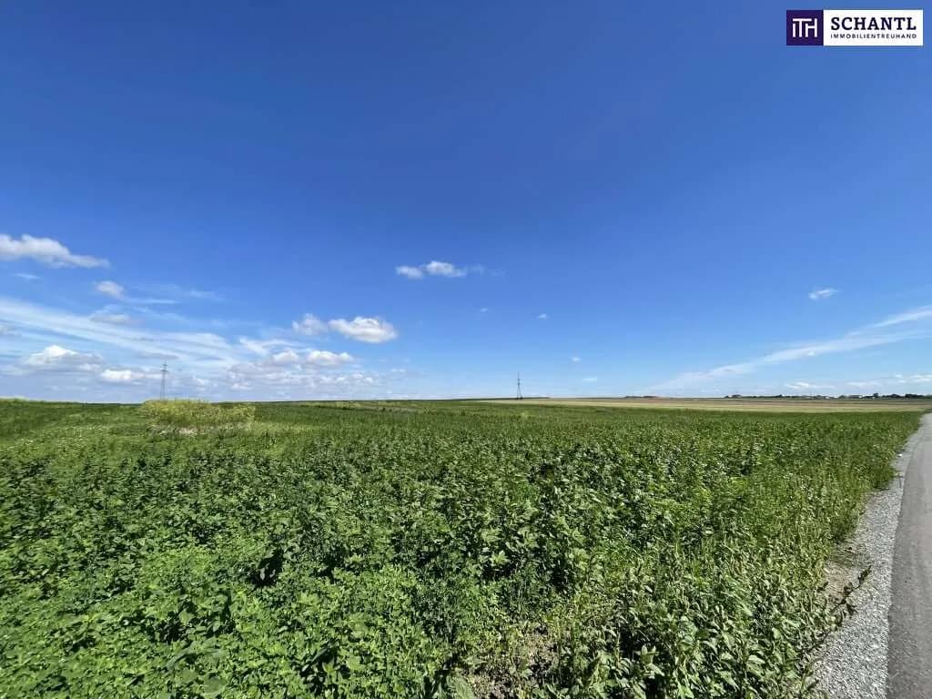 Immobilie kaufen in Bruck an der Leitha – 41 195 m², € 439.000