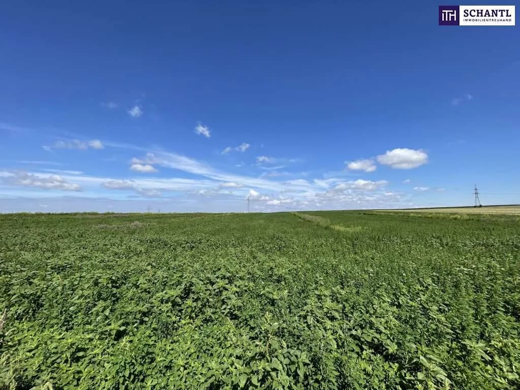 Immobilie kaufen in Bruck an der Leitha – 41 195 m², € 439.000 – Bild 3 von 4