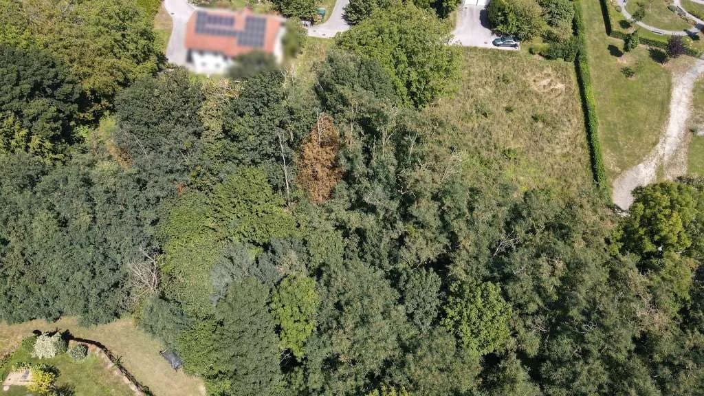 Grundstück kaufen in Hartberg-Fürstenfeld – 4 151 m², € 149 – Bild 3 von 14