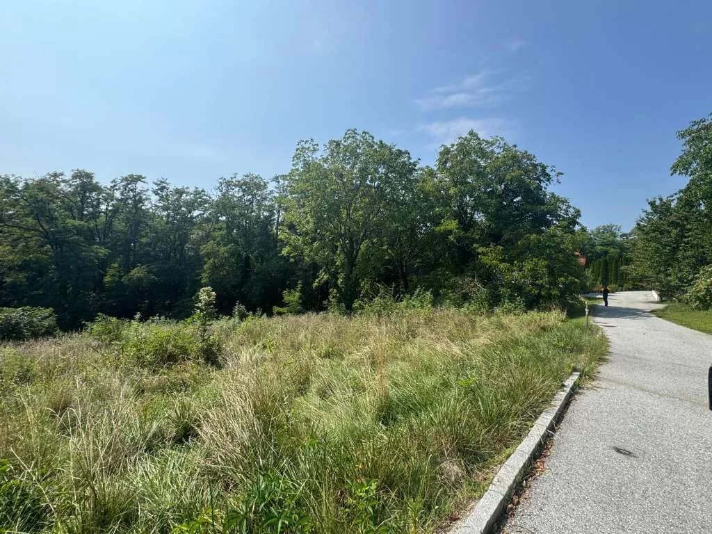 Grundstück kaufen in Hartberg-Fürstenfeld – 4 151 m², € 149 – Bild 4 von 14