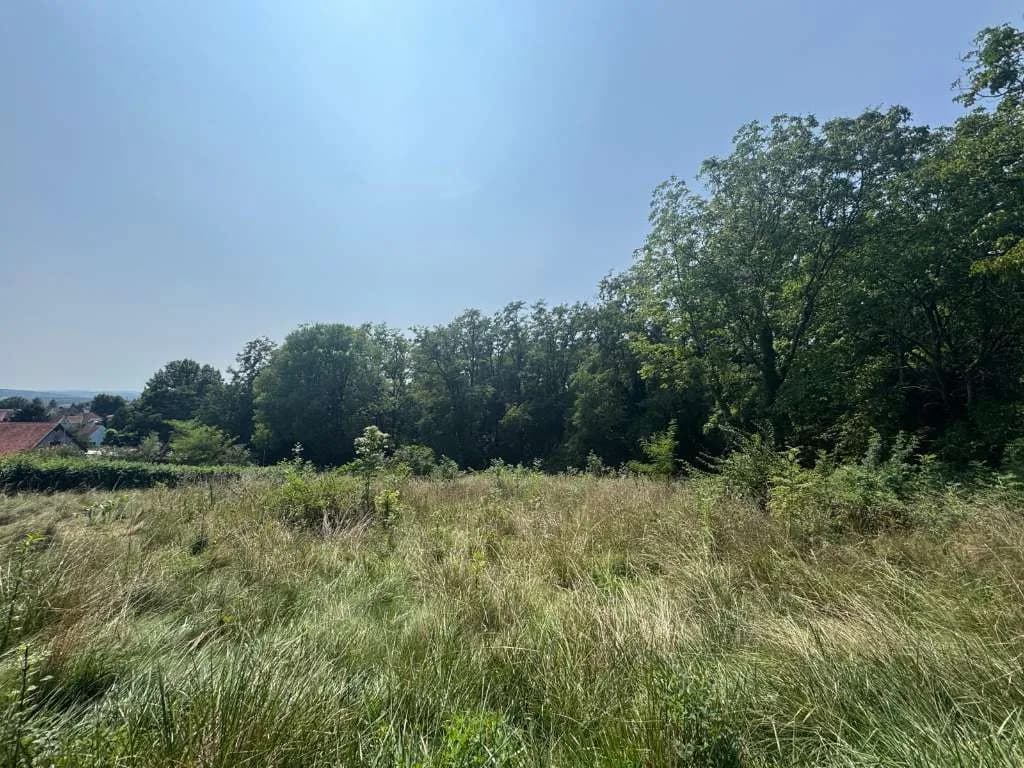Grundstück kaufen in Hartberg-Fürstenfeld – 4 151 m², € 149 – Bild 5 von 14
