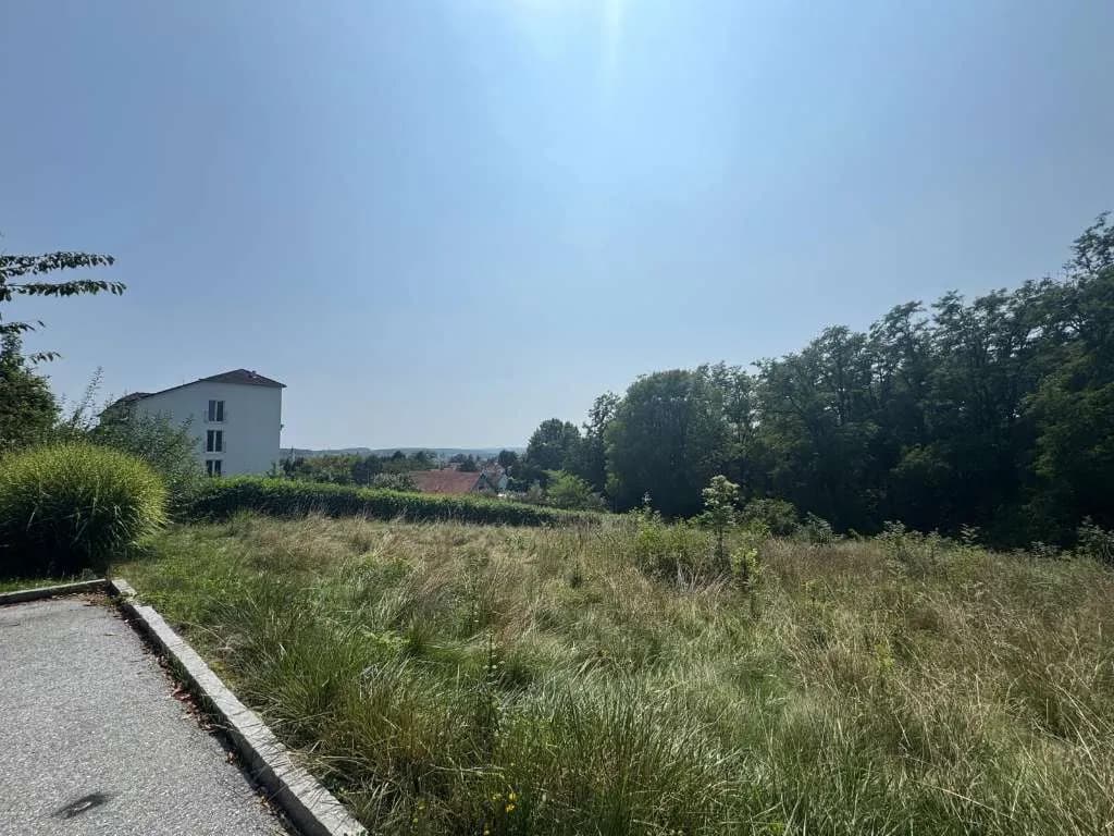 Grundstück kaufen in Hartberg-Fürstenfeld – 4 151 m², € 149 – Bild 6 von 14