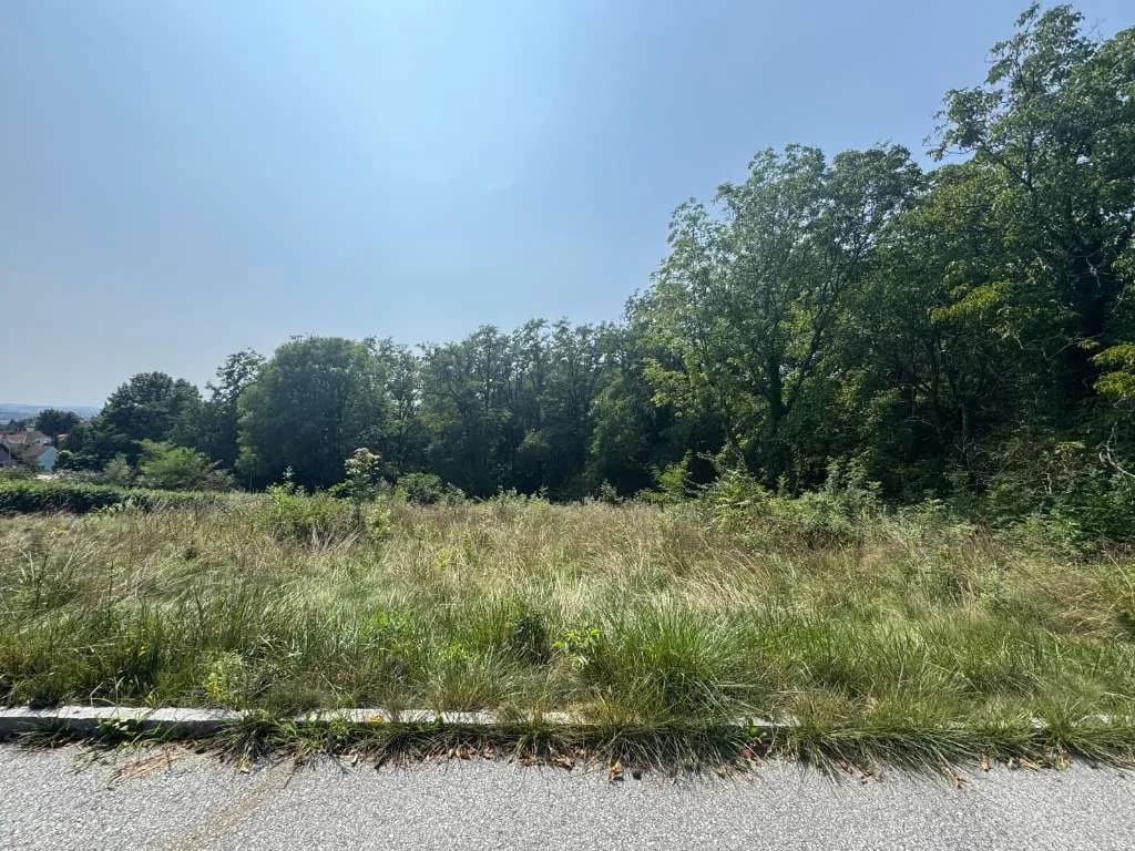 Grundstück kaufen in Hartberg-Fürstenfeld – 4 151 m², € 149 – Bild 7 von 14