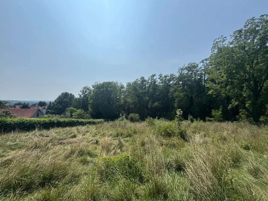 Grundstück kaufen in Hartberg-Fürstenfeld – 4 151 m², € 149 – Bild 9 von 14