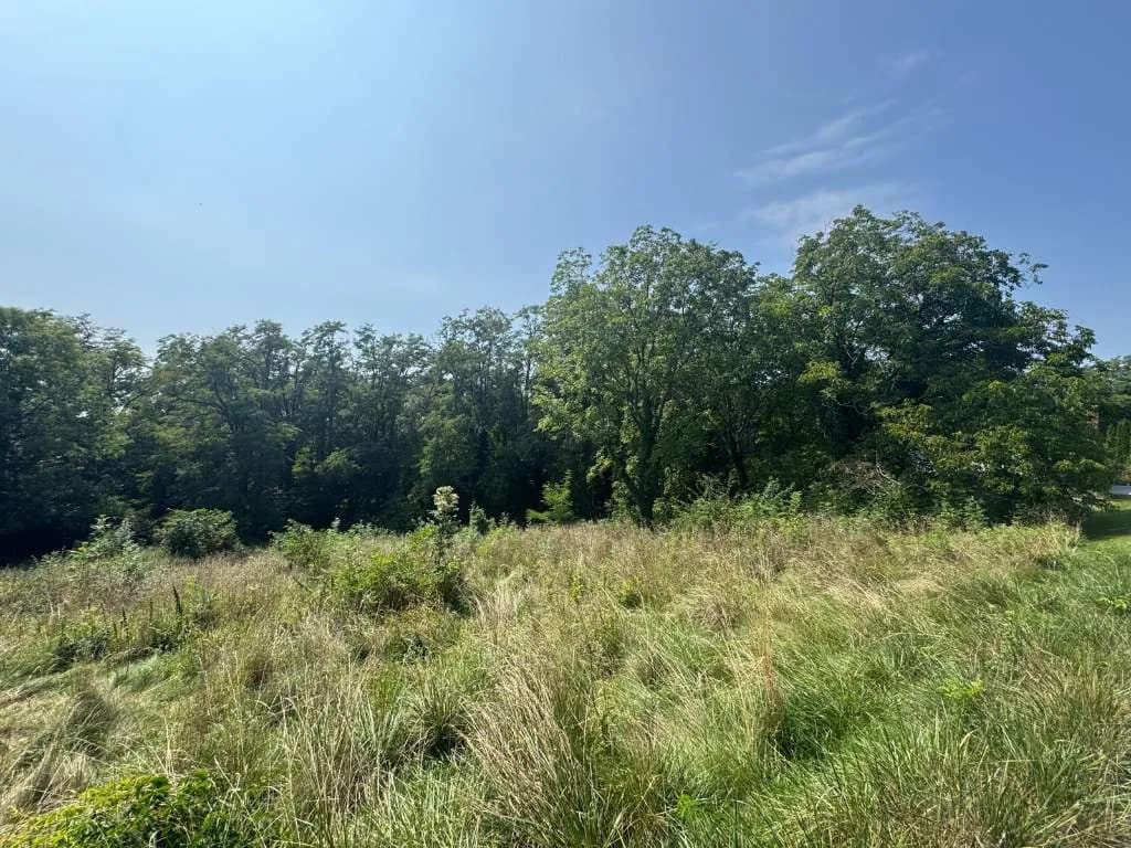 Grundstück kaufen in Hartberg-Fürstenfeld – 4 151 m², € 149 – Bild 10 von 14