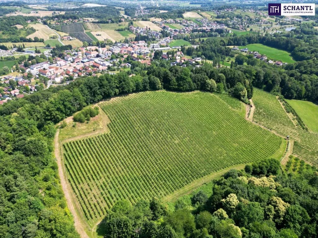 Grundstück kaufen in Leibnitz – 11 733 m², € 1.400.000 – Bild 1 von 6