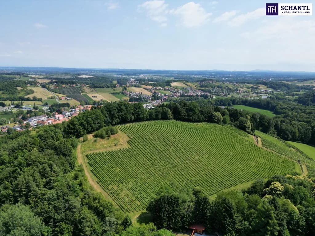 Grundstück kaufen in Leibnitz – 11 733 m², € 1.400.000 – Bild 2 von 6