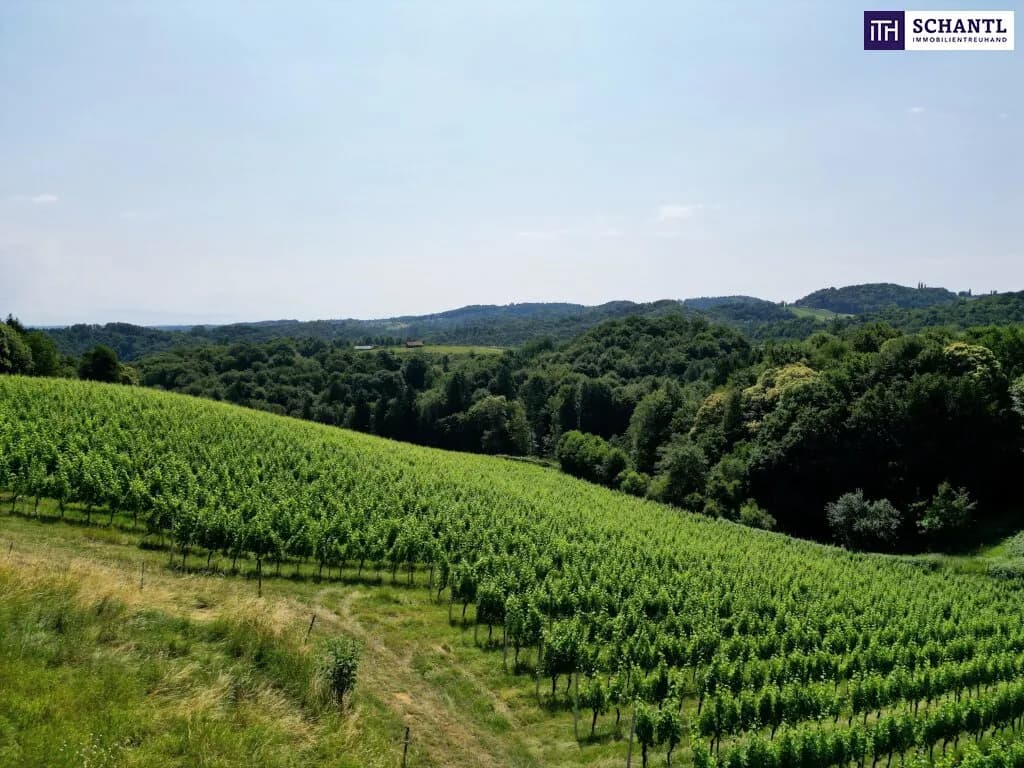 Grundstück kaufen in Leibnitz – 11 733 m², € 1.400.000 – Bild 3 von 6