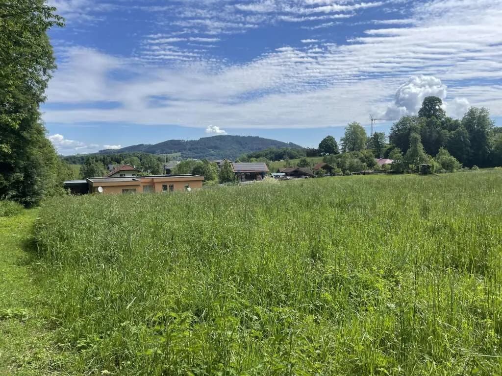 Grundstück kaufen in Vöcklabruck – 969 m², € 219.000 – Bild 3 von 7