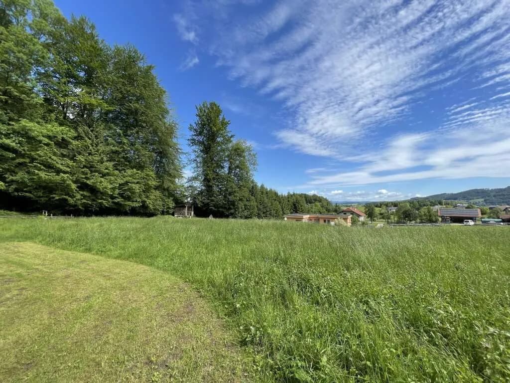 Grundstück kaufen in Vöcklabruck – 969 m², € 219.000 – Bild 4 von 7