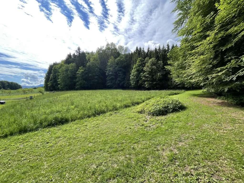 Grundstück kaufen in Vöcklabruck – 969 m², € 219.000 – Bild 7 von 7
