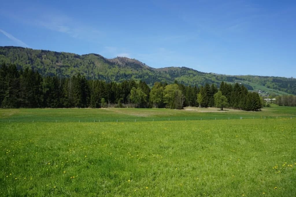 2-Zimmer-Wohnung kaufen in Vöcklabruck – 55,61 m², € 247.000 – Bild 10 von 13