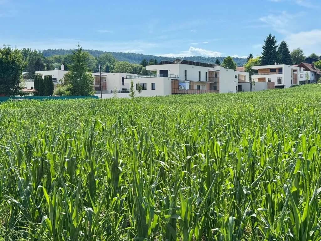 2-Zimmer-Wohnung kaufen in Graz – 48,7 m², € 299.000 – Bild 2 von 16