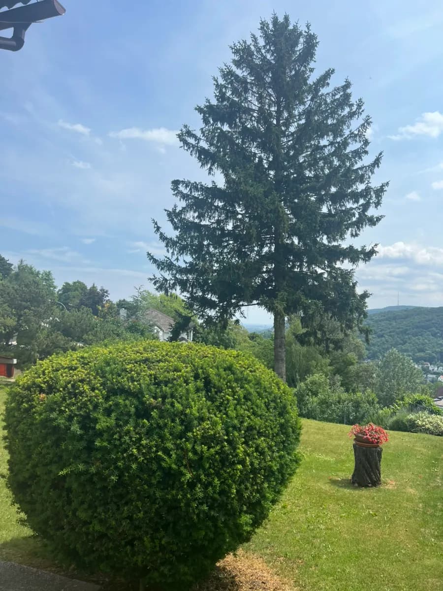 5-Zimmer-Haus kaufen in Tulln – 140 m², € 819.000 – Bild 6 von 8