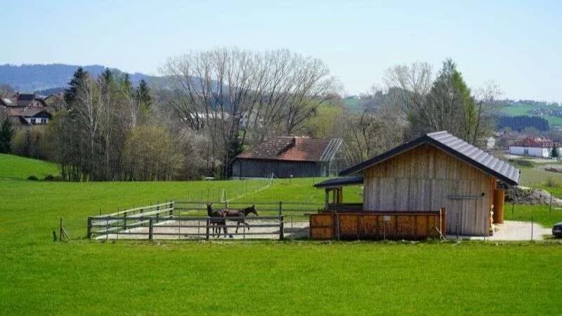 Grundstück kaufen in Vöcklabruck – 3 403 m² – Bild 3 von 9