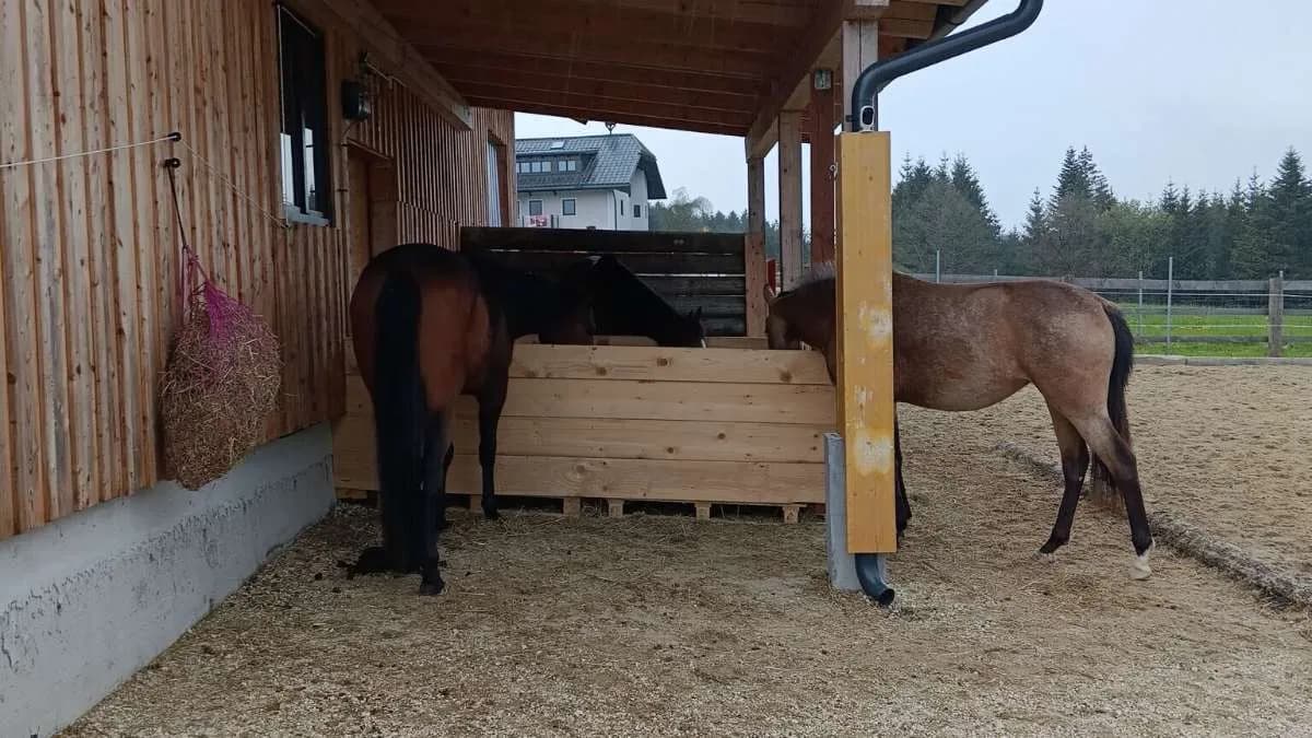 Grundstück kaufen in Vöcklabruck – 3 403 m² – Bild 5 von 9