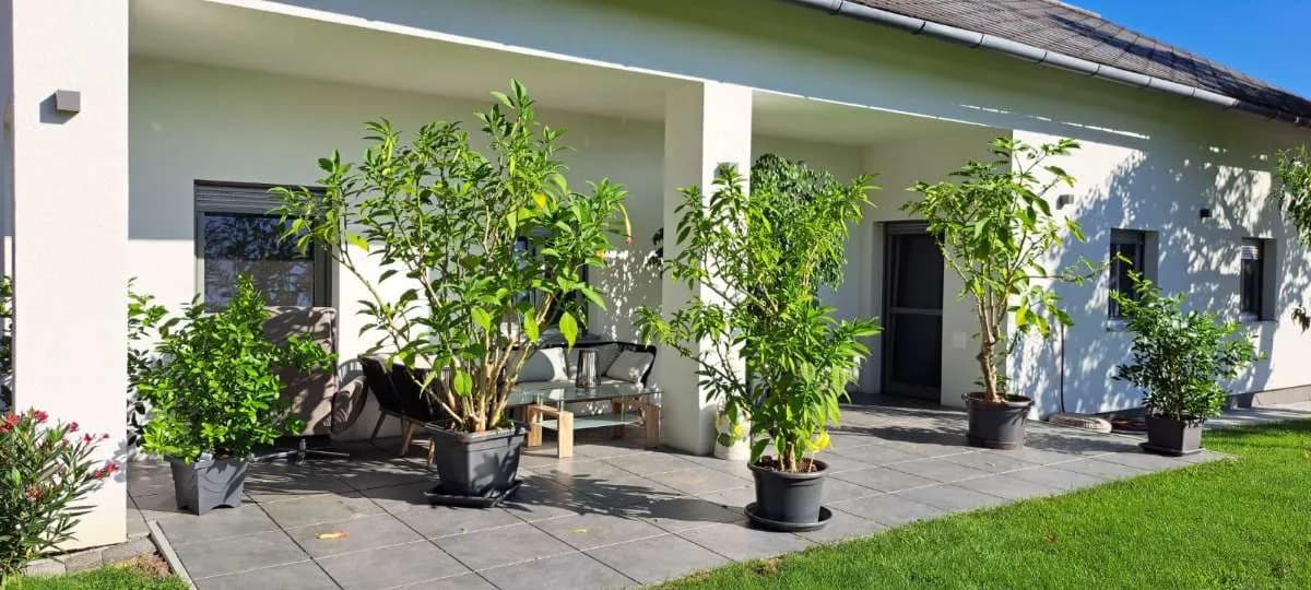 Haus mieten in Hartberg-Fürstenfeld – 153 m², € 1.550 – Bild 4 von 13