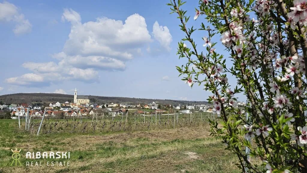 4-Zimmer-Haus mieten in Eisenstadt – 119,42 m², € 1.505 – Bild 9 von 12