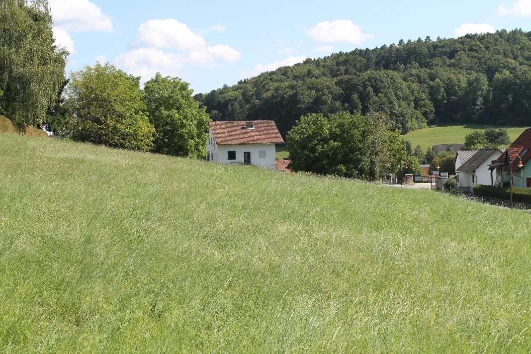 Grundstück kaufen in Weiz – 5 747 m², € 258.000 – Bild 3 von 5