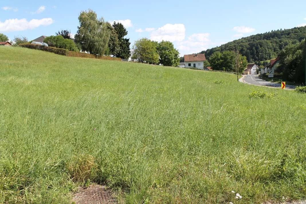 Grundstück kaufen in Weiz – 5 747 m², € 258.000 – Bild 4 von 5