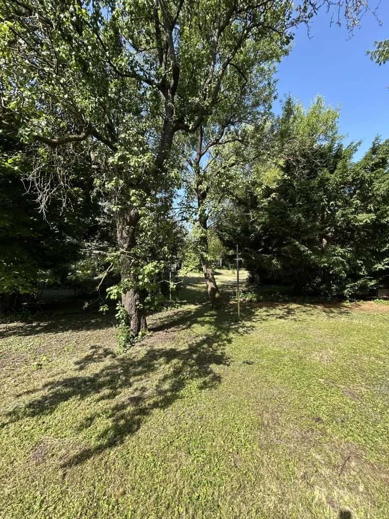 Immobilie kaufen in Mödling – 3 694 m², € 4.900.000 – Bild 4 von 9