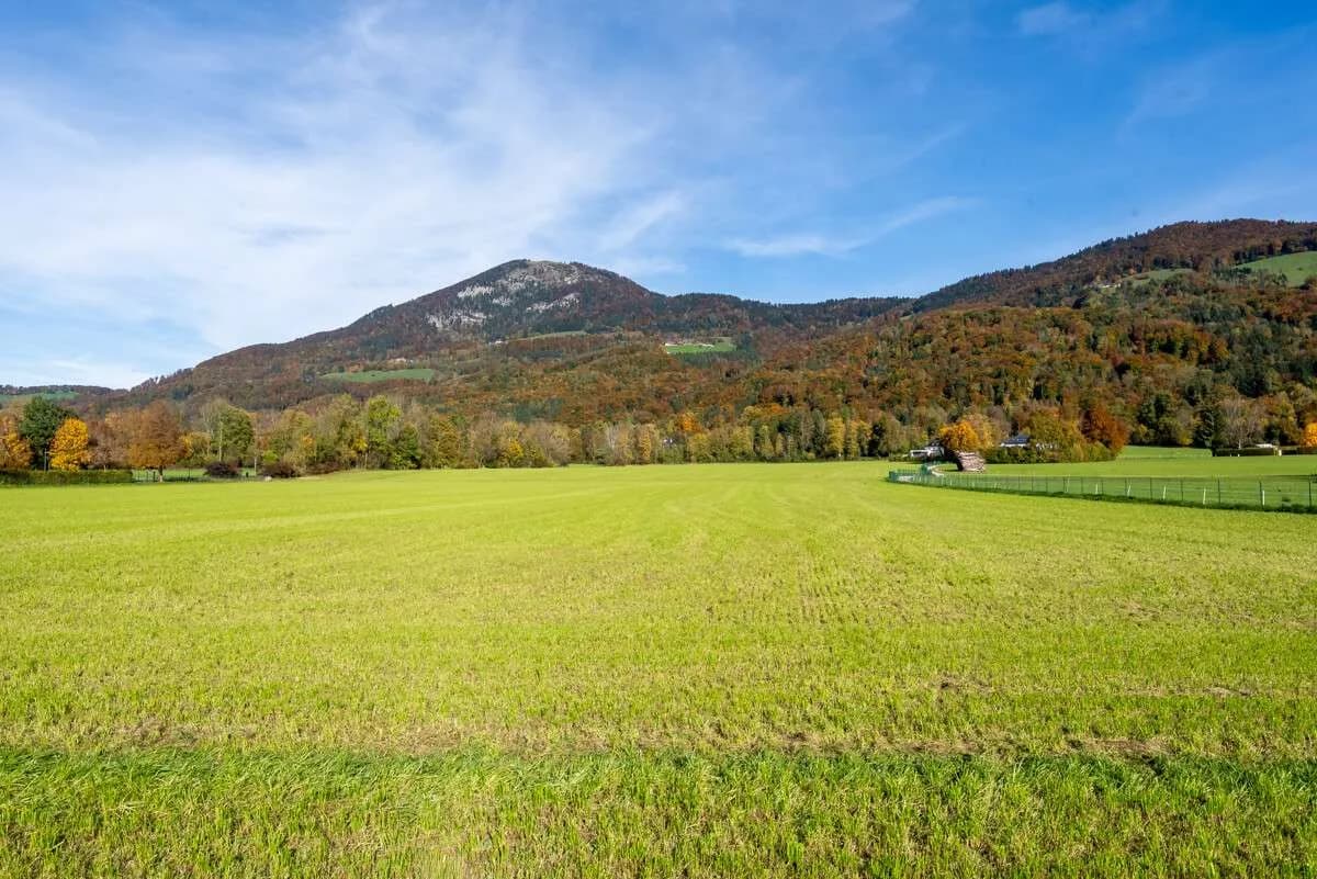 Grundstück kaufen in Salzburg Stadt – 808 m², € 2.400.000 – Bild 8 von 9