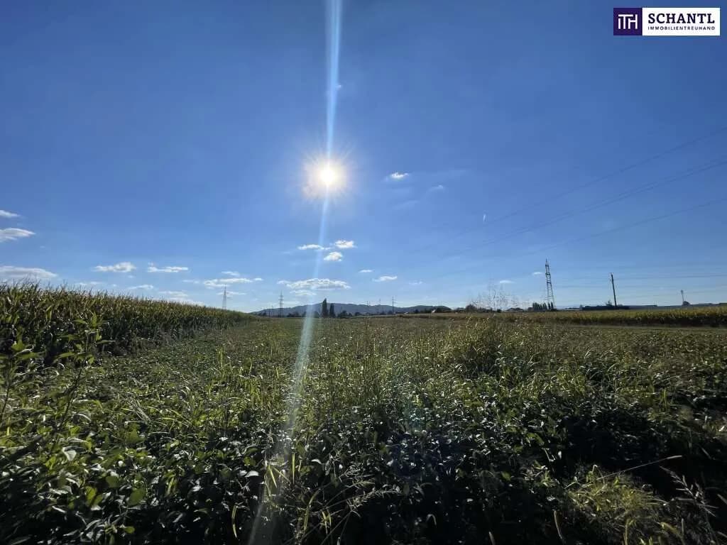 Grundstück kaufen in Leibnitz – 7 500 m², € 399.000