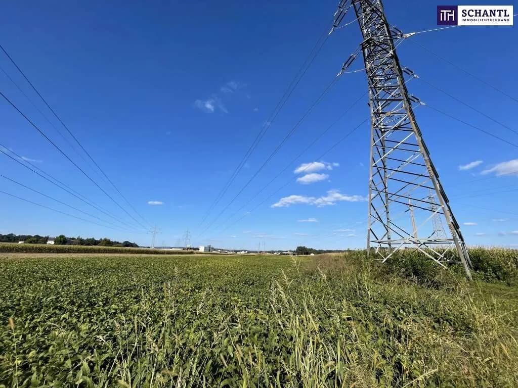 Grundstück kaufen in Leibnitz – 7 500 m², € 399.000 – Bild 2 von 13