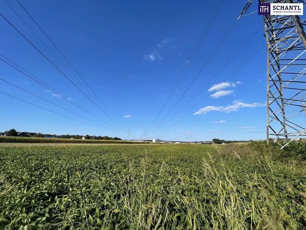 Grundstück kaufen in Leibnitz – 7 500 m², € 399.000 – Bild 3 von 13