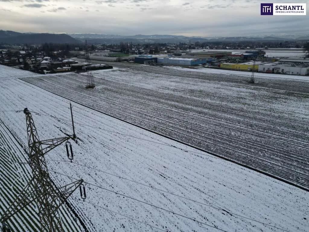 Grundstück kaufen in Leibnitz – 7 500 m², € 399.000 – Bild 6 von 13