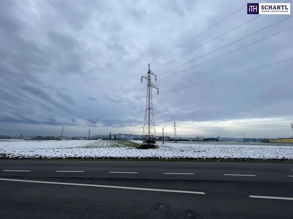 Grundstück kaufen in Leibnitz – 7 500 m², € 399.000 – Bild 8 von 13