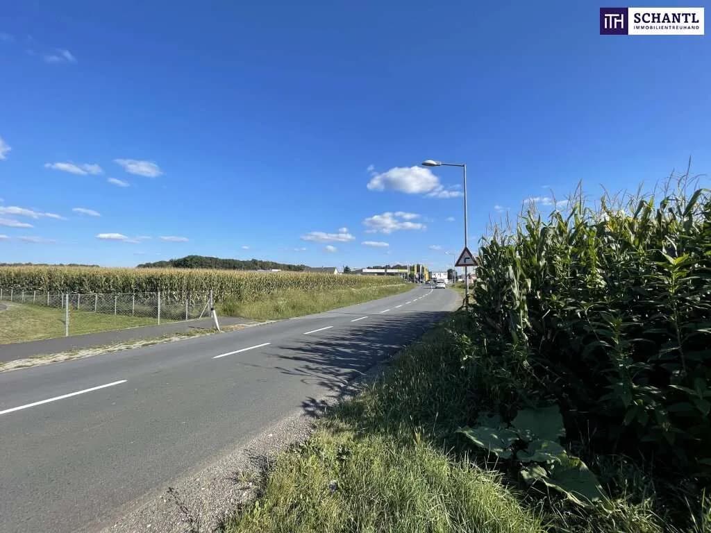 Grundstück kaufen in Leibnitz – 7 500 m², € 399.000 – Bild 9 von 13