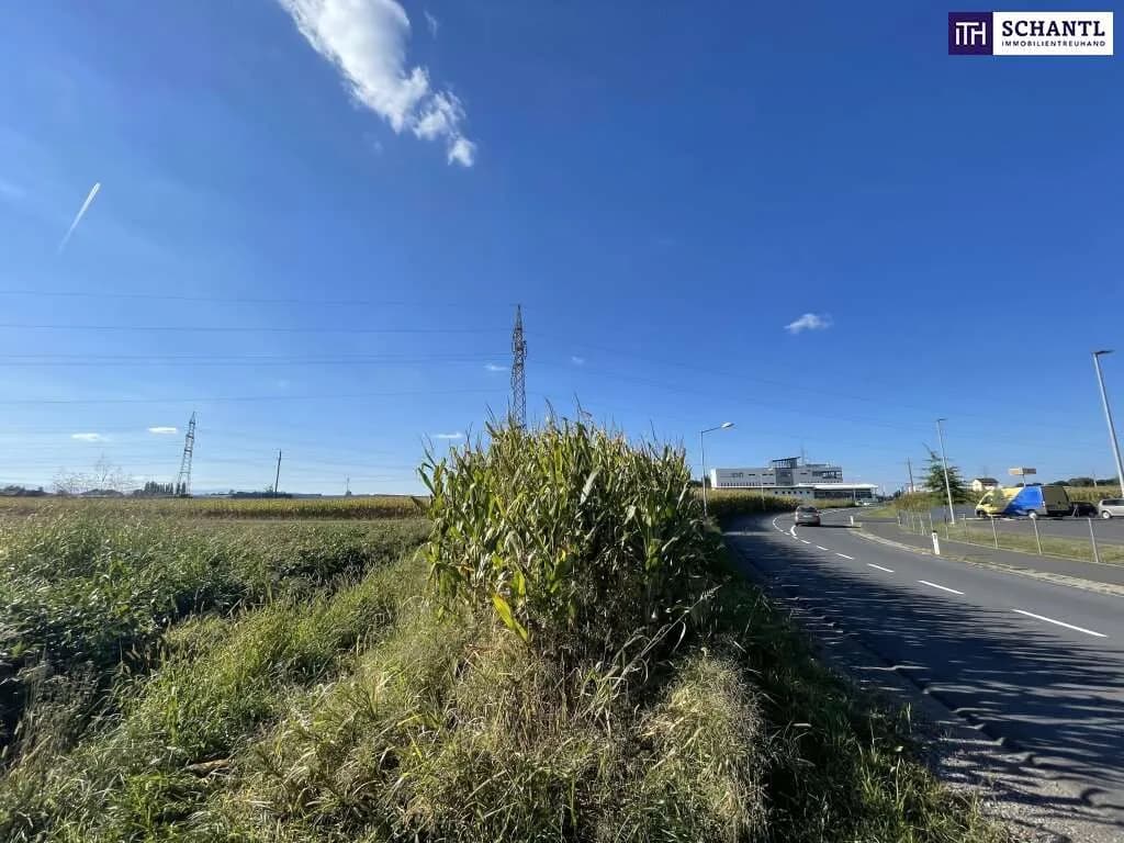 Grundstück kaufen in Leibnitz – 7 500 m², € 399.000 – Bild 10 von 13
