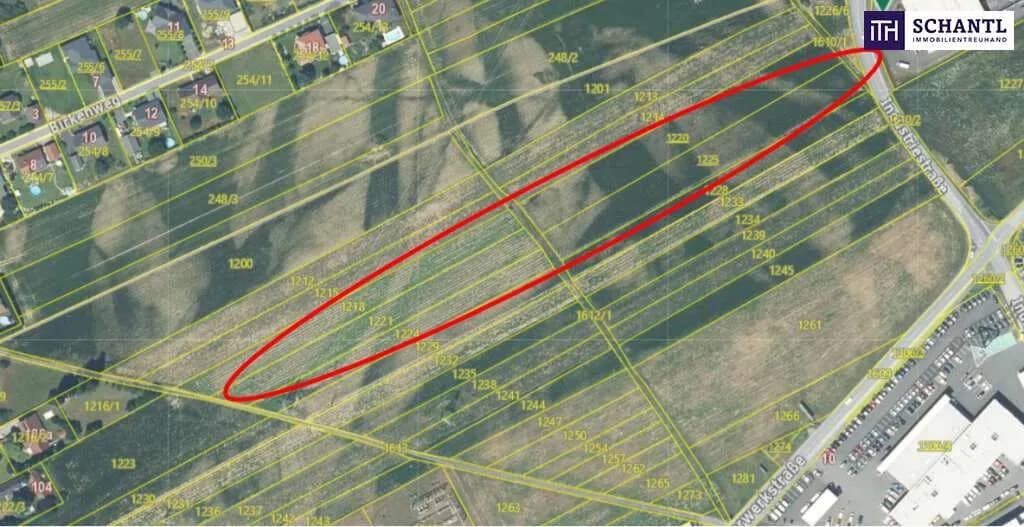 Grundstück kaufen in Leibnitz – 7 500 m², € 399.000 – Bild 11 von 13