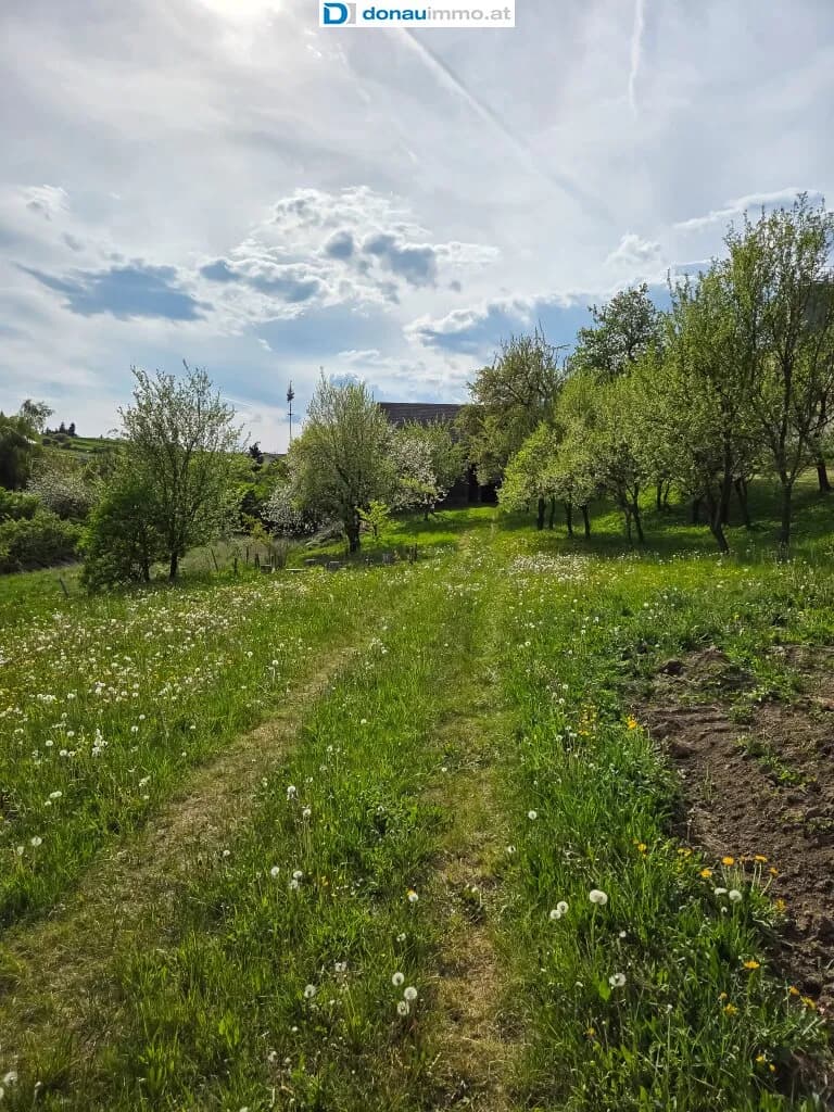 5-Zimmer-Haus kaufen in Zwettl – 160 m², € 279.000 – Bild 37 von 46